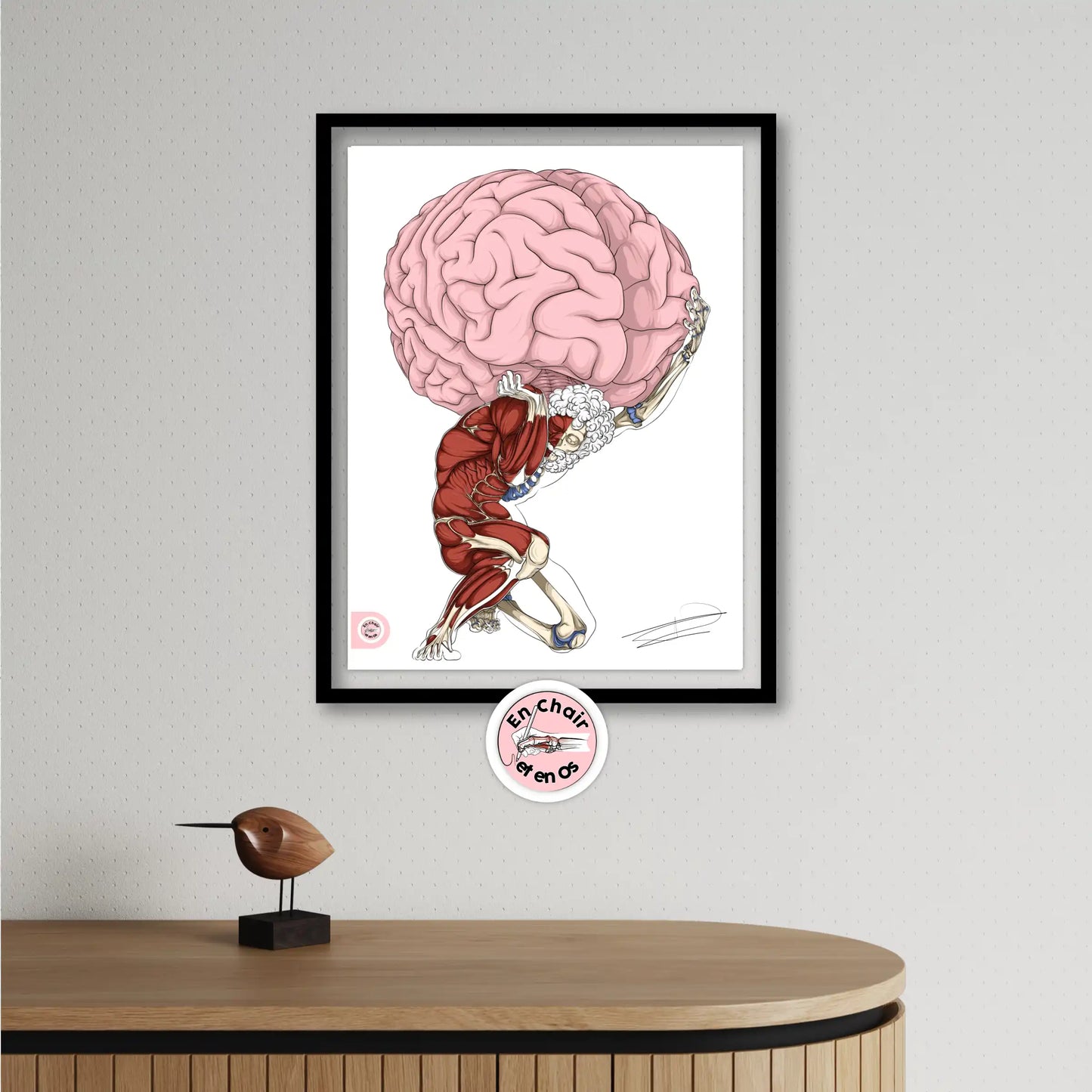 Planche anatomique du cerveau - Atlas