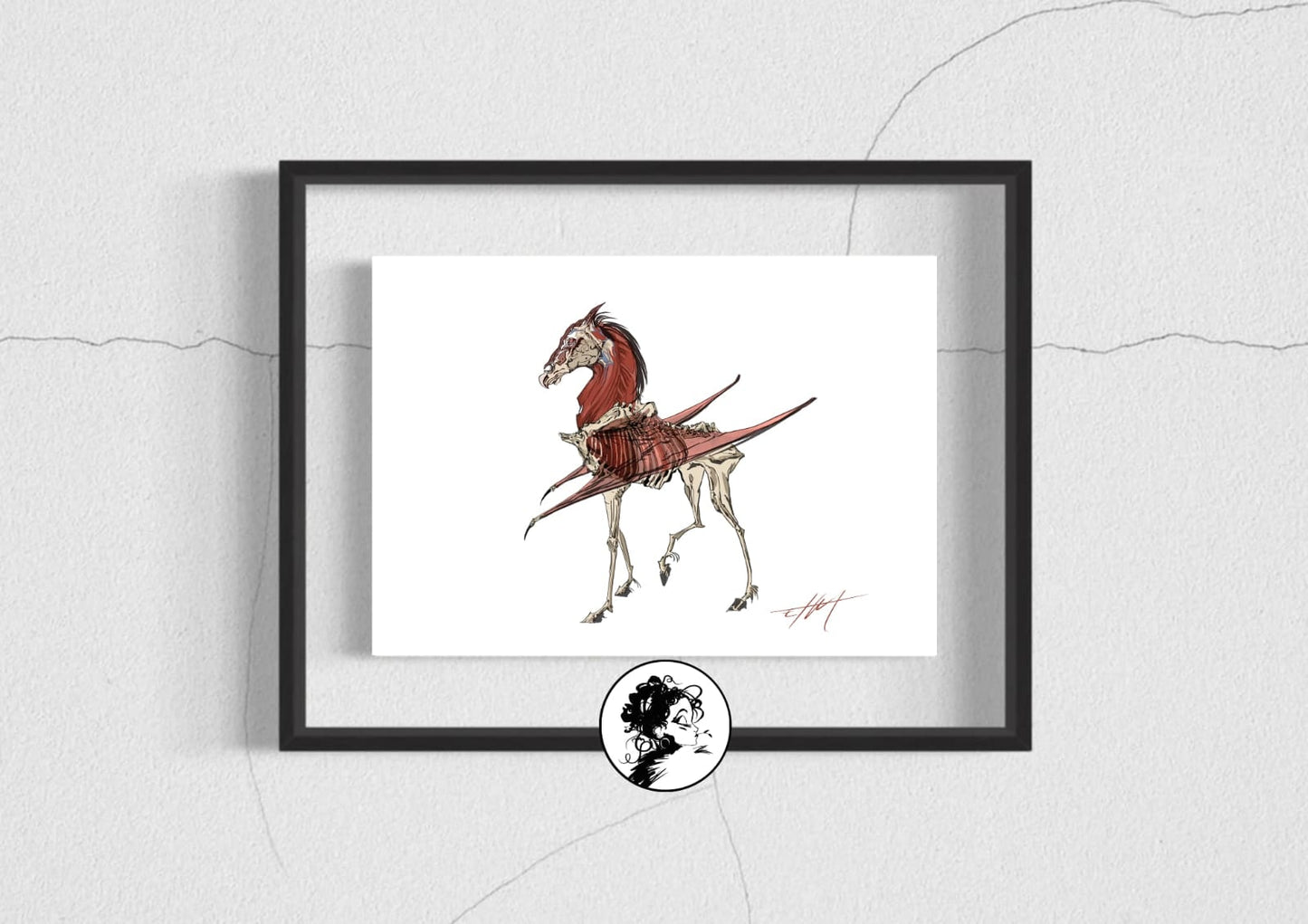 Planche anatomique du cheval