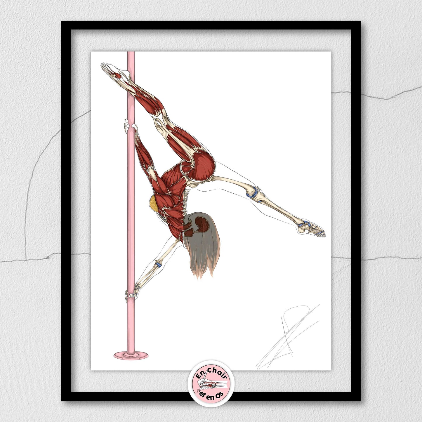 Planche anatomique du pole dance En Chair et en Os décoration pour cabinet médical