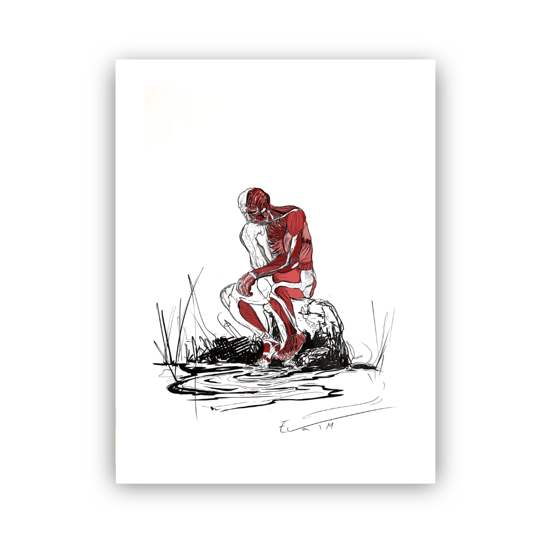 Planche anatomique du penseur de rodin écorché En Chair et en Os décoration murale