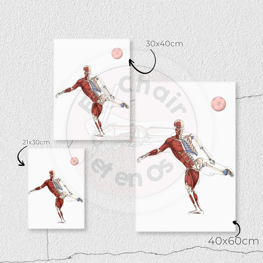 Quels sont les avantages d’un dessin d'anatomie du corps humain dans une salle de consultation ?