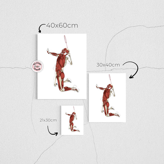 Pourquoi utiliser des schémas anatomiques en consultation ?