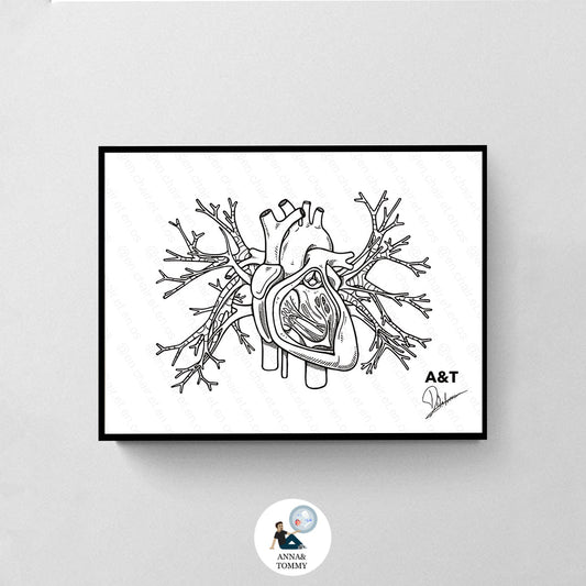 🎄 Des planches anatomiques pour Noël : Le cadeau qui fait écho à la passion médicale