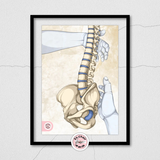 Quelle est l'importance des planches anatomiques dans les cabinets médicaux ?