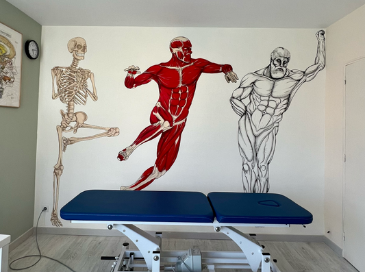 Décoration cabinet ostéopathe