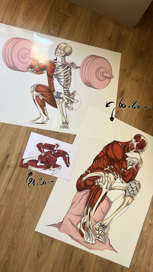 ✨ Planches anatomiques : Une idée de cadeau intemporelle et inspirante pour un futur médecin