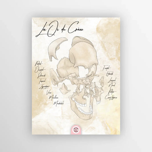 Quelle décoration médicale choisir pour votre cabinet médical ?