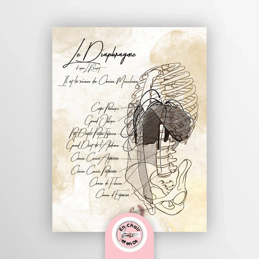 Quelle décoration médicale permet d'embellir votre cabinet médical ?