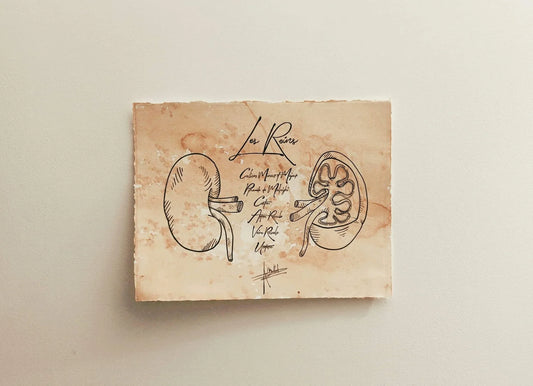 Comment un schéma anatomique augmente-t-il l'engagement des patients dans leur traitement ?