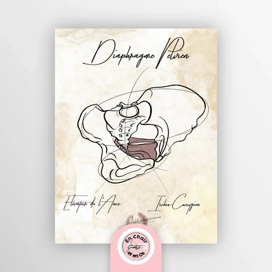 Comment la décoration d'un cabinet médical aide-t-elle à l’éducation des patients ?