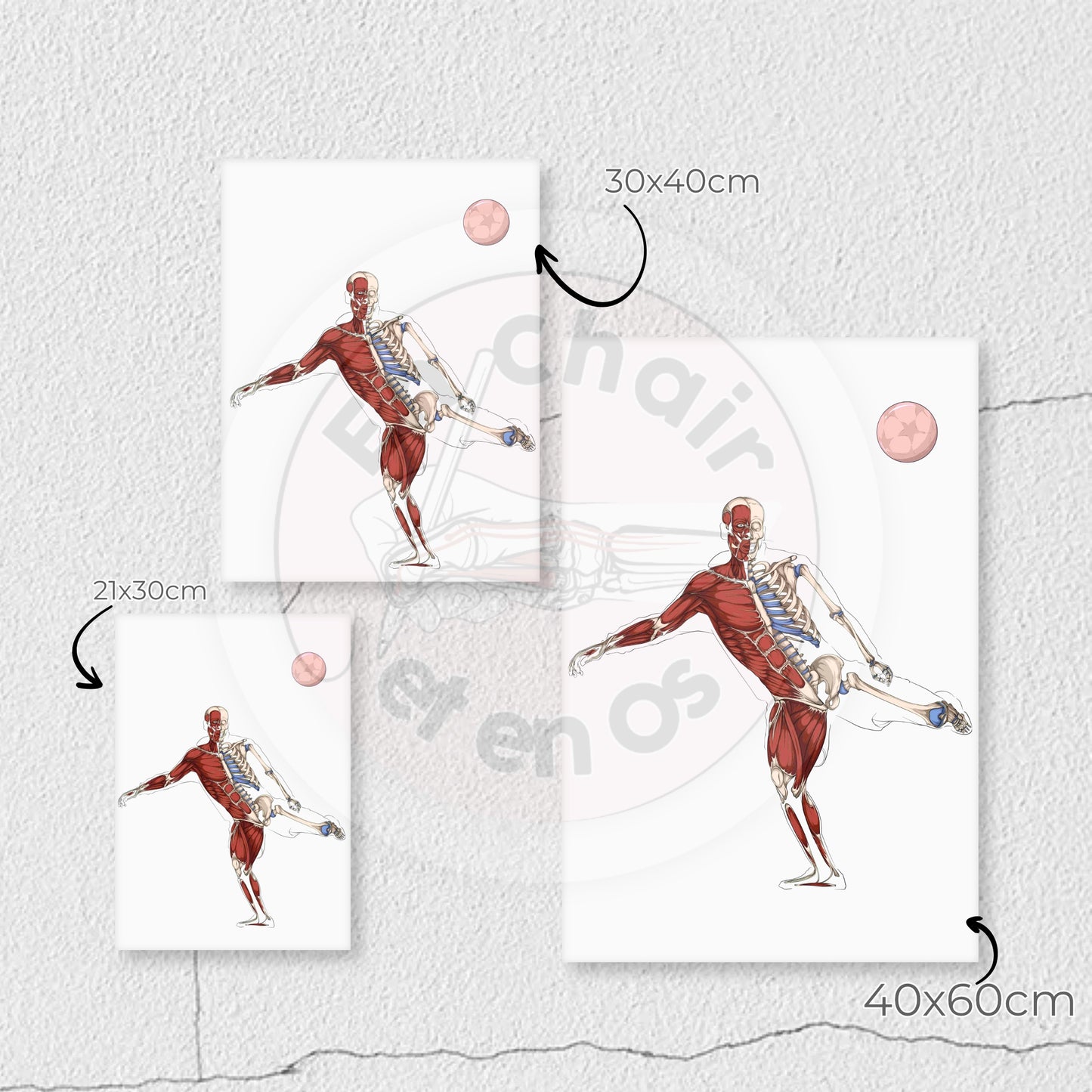 Poster anatomique du Football - Zidane