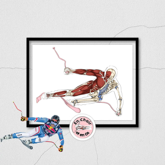 Écorché anatomique du ski alpin - Super-G - Nils Alphand