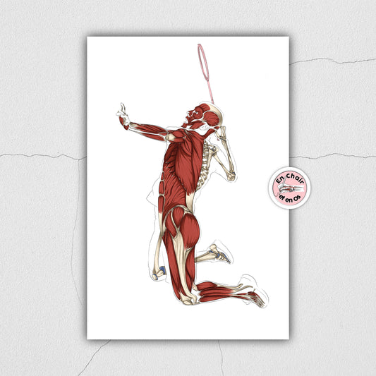 Planche anatomique Badminton En Chair et en Os