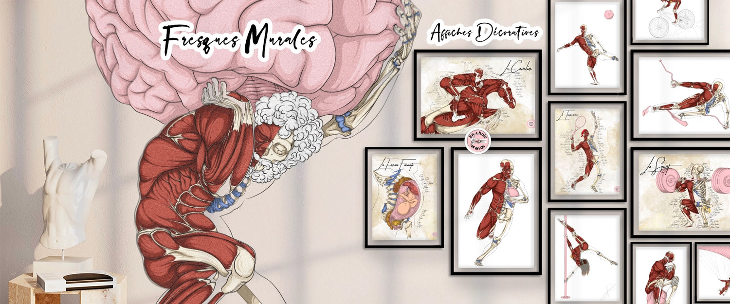 Planches anatomiques En Chair et en Os décoration pour cabinet médical