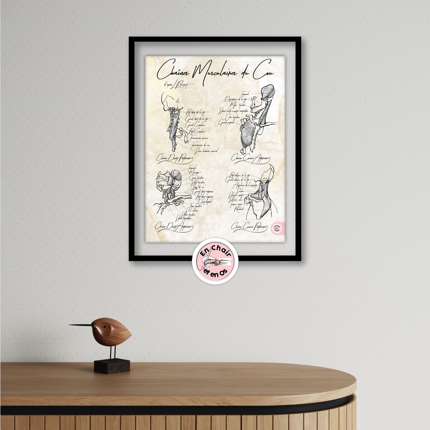Planche Anatomique Chaînes Musculaires Cou - Busquet