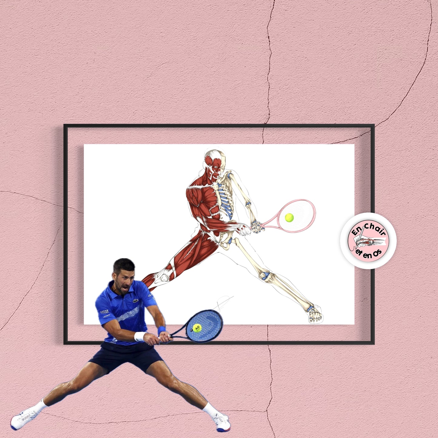 Planche anatomique du tennisman - Novak Djokovic