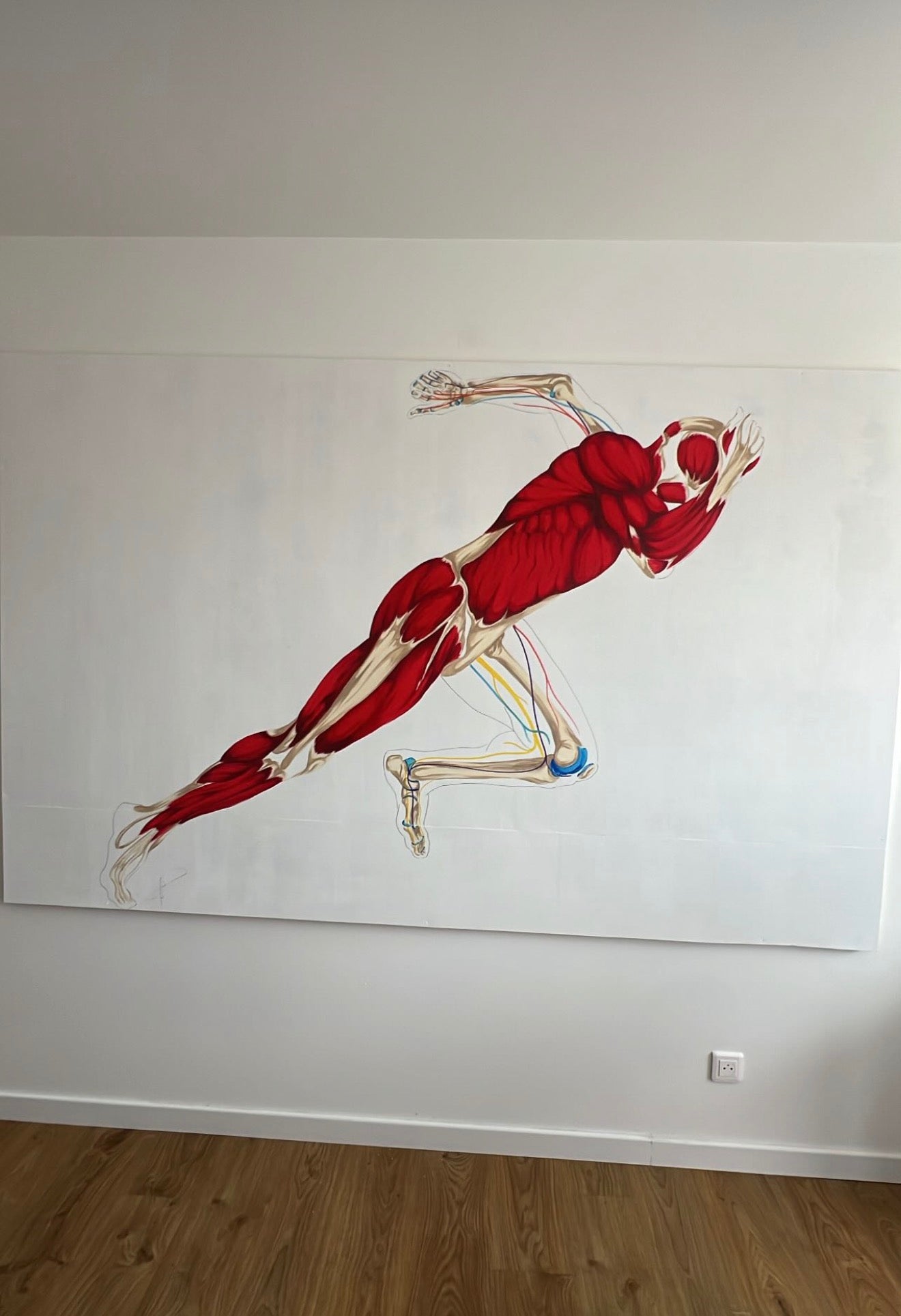 Fresque murale cabinet médical