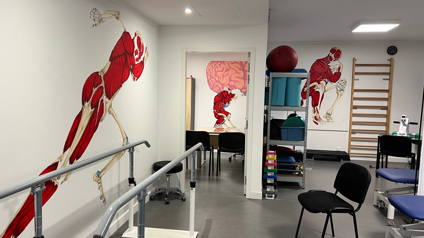 Décoration fresque murale anatomique cabinet kinésithérapie