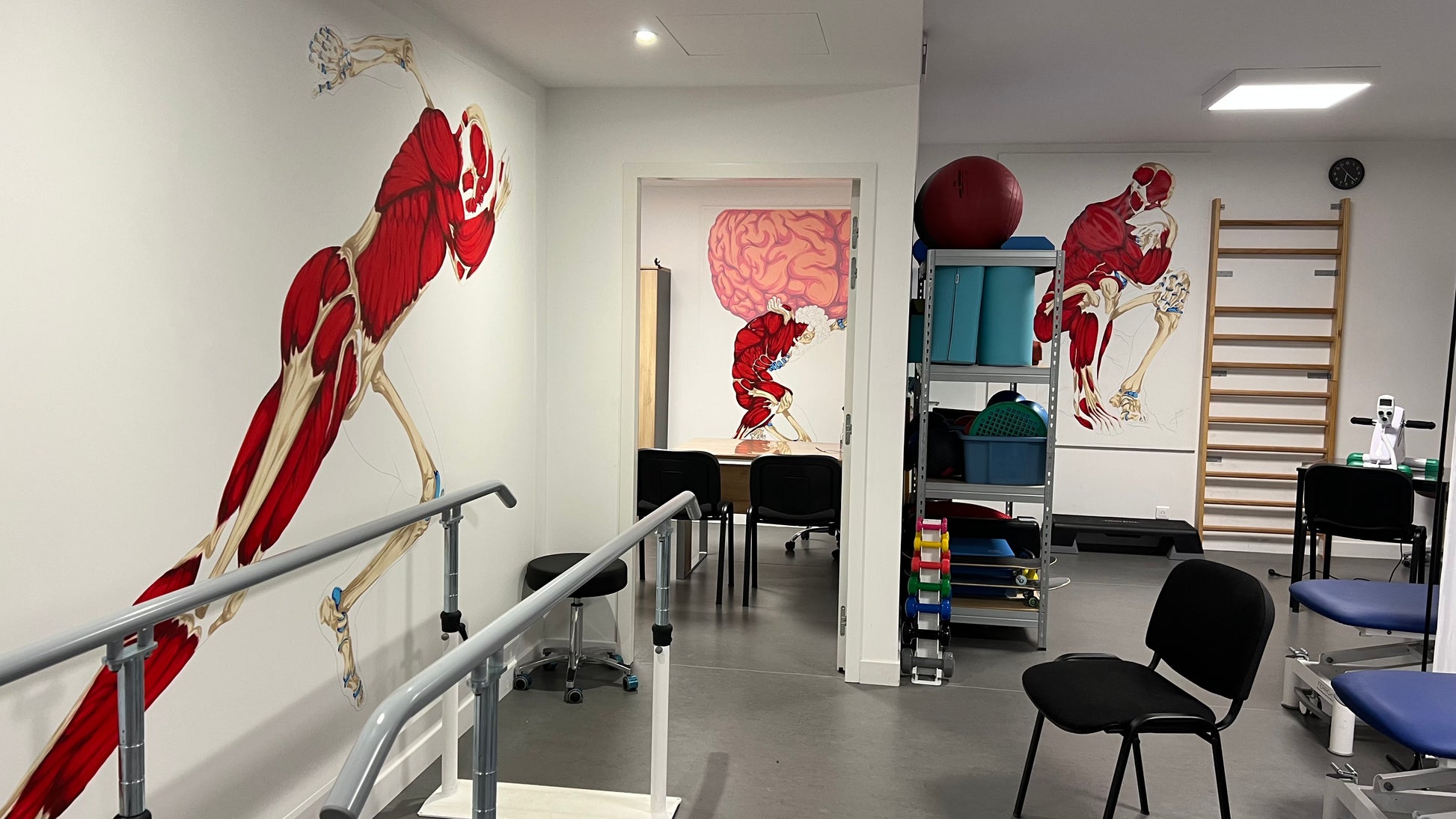 Décoration fresque murale anatomique cabinet kinésithérapie