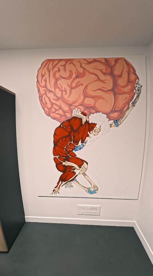 Fresque murale anatomique cabinet kinésithérapie 