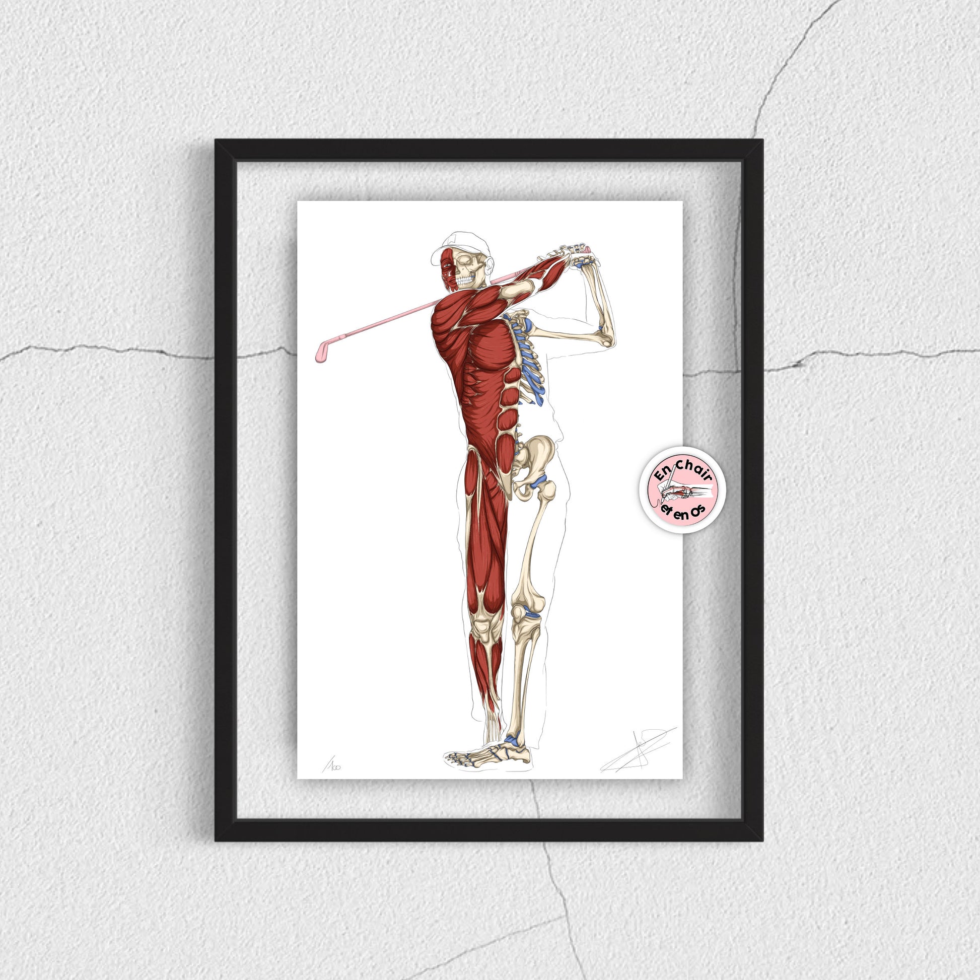 Planche anatomique golf