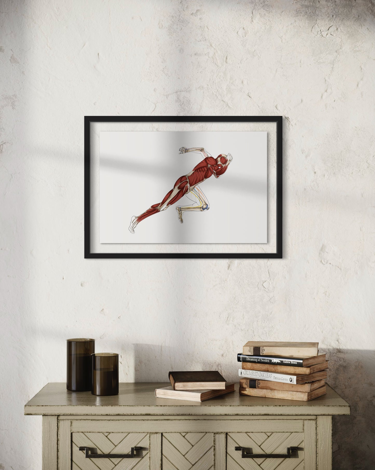 Planche anatomique du sprinteur