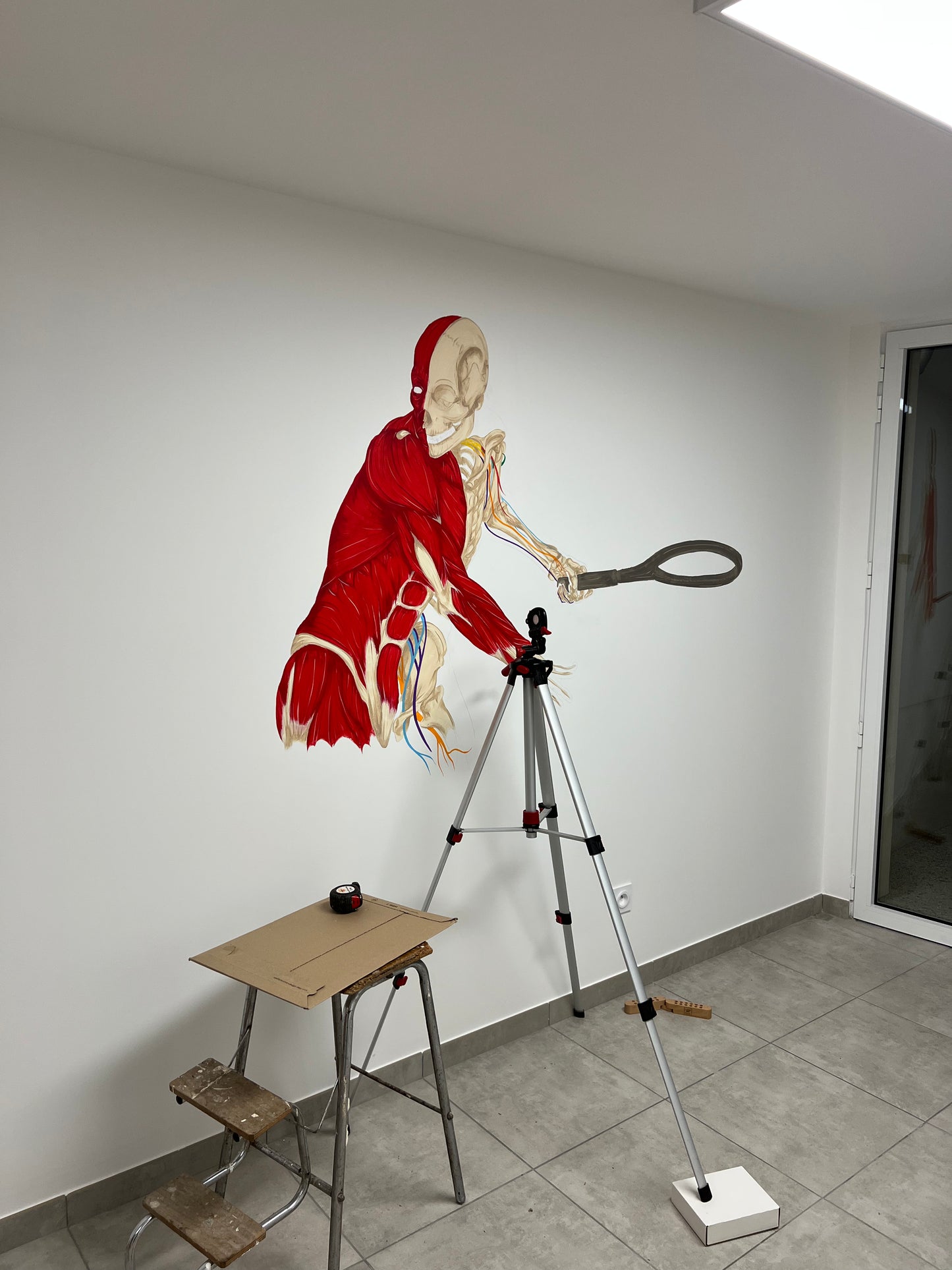 Fresque murale anatomique