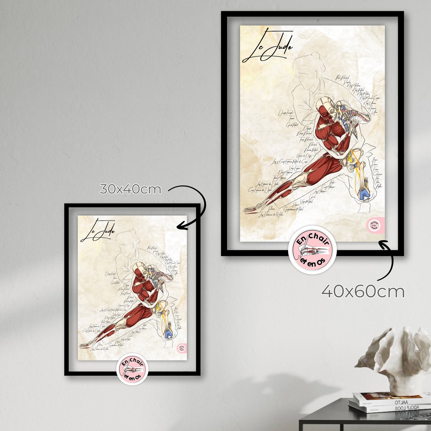 Écorché Anatomique du Judo