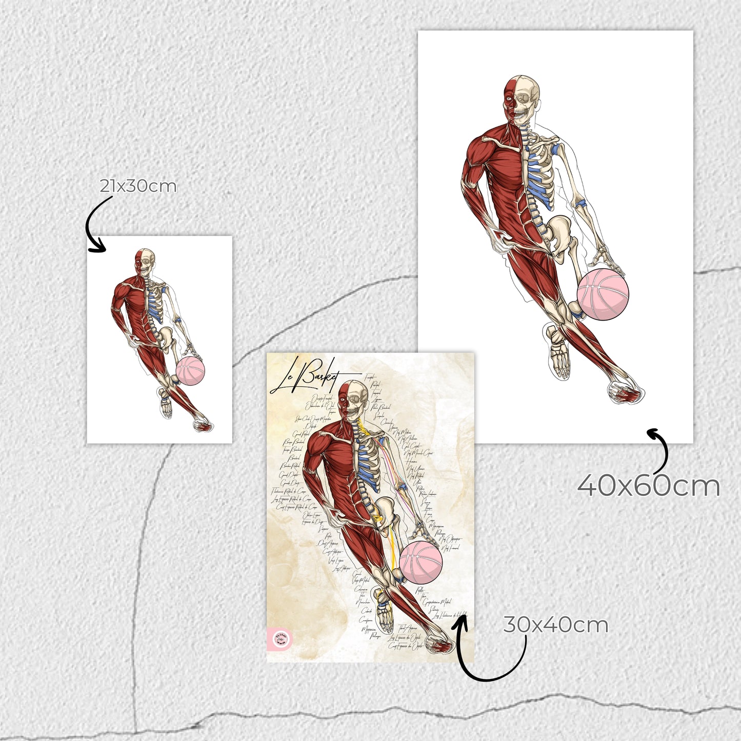 Poster Anatomique Basketball Tony Parker