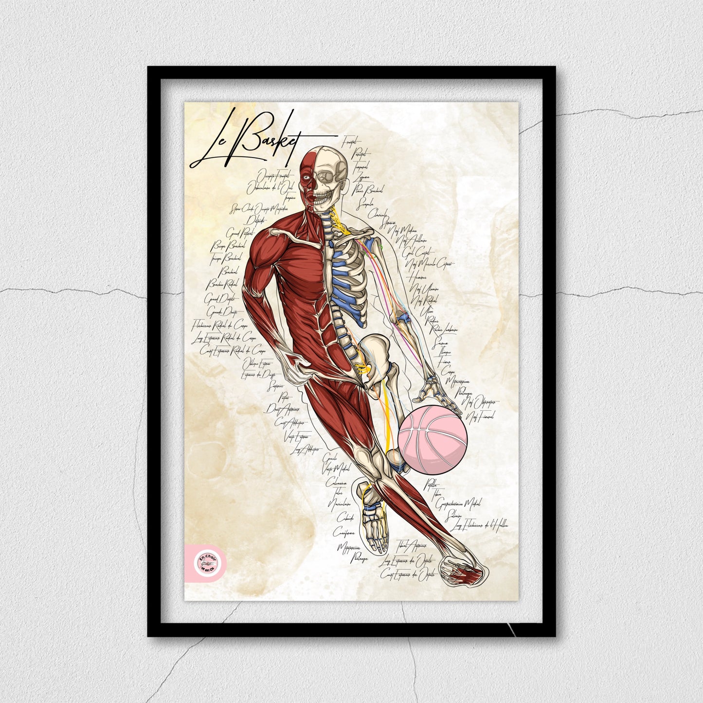 Poster Anatomique Basketball Tony Parker