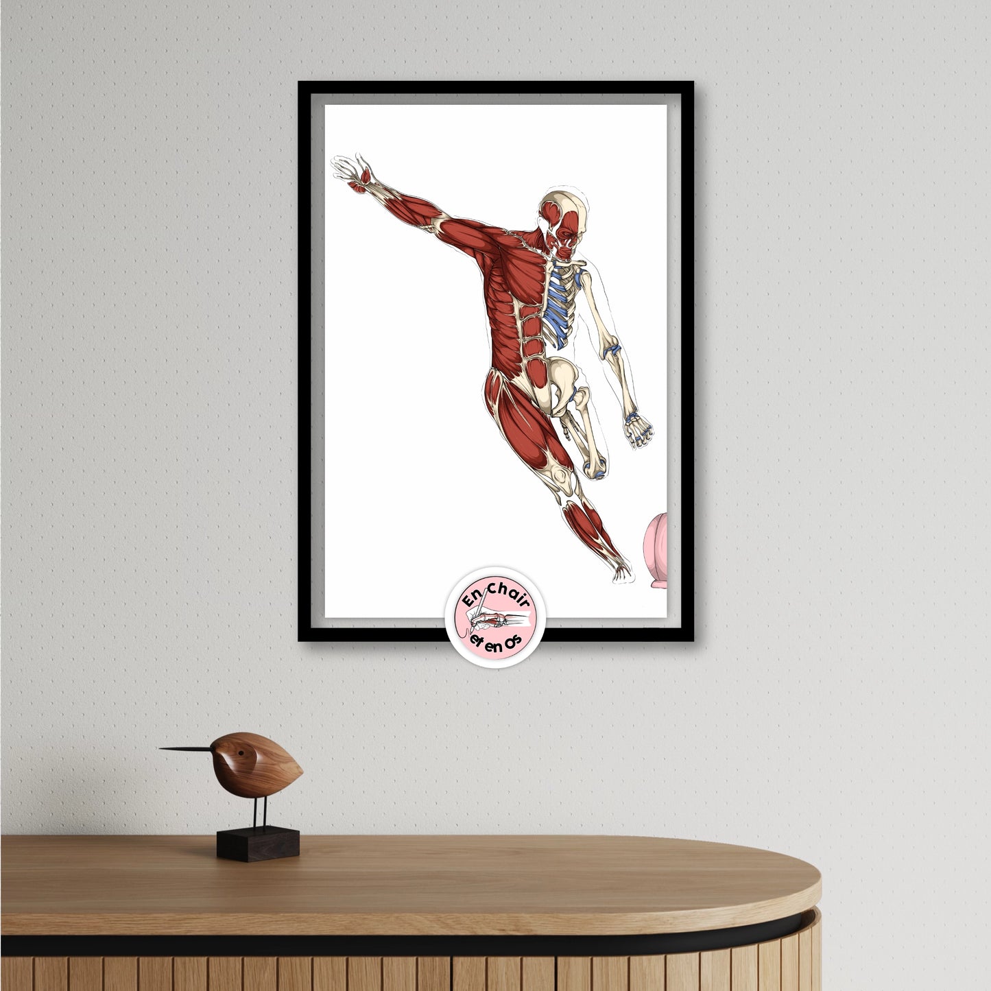 Poster Anatomique Rugby Wilkinson - Planche Sport Écorché