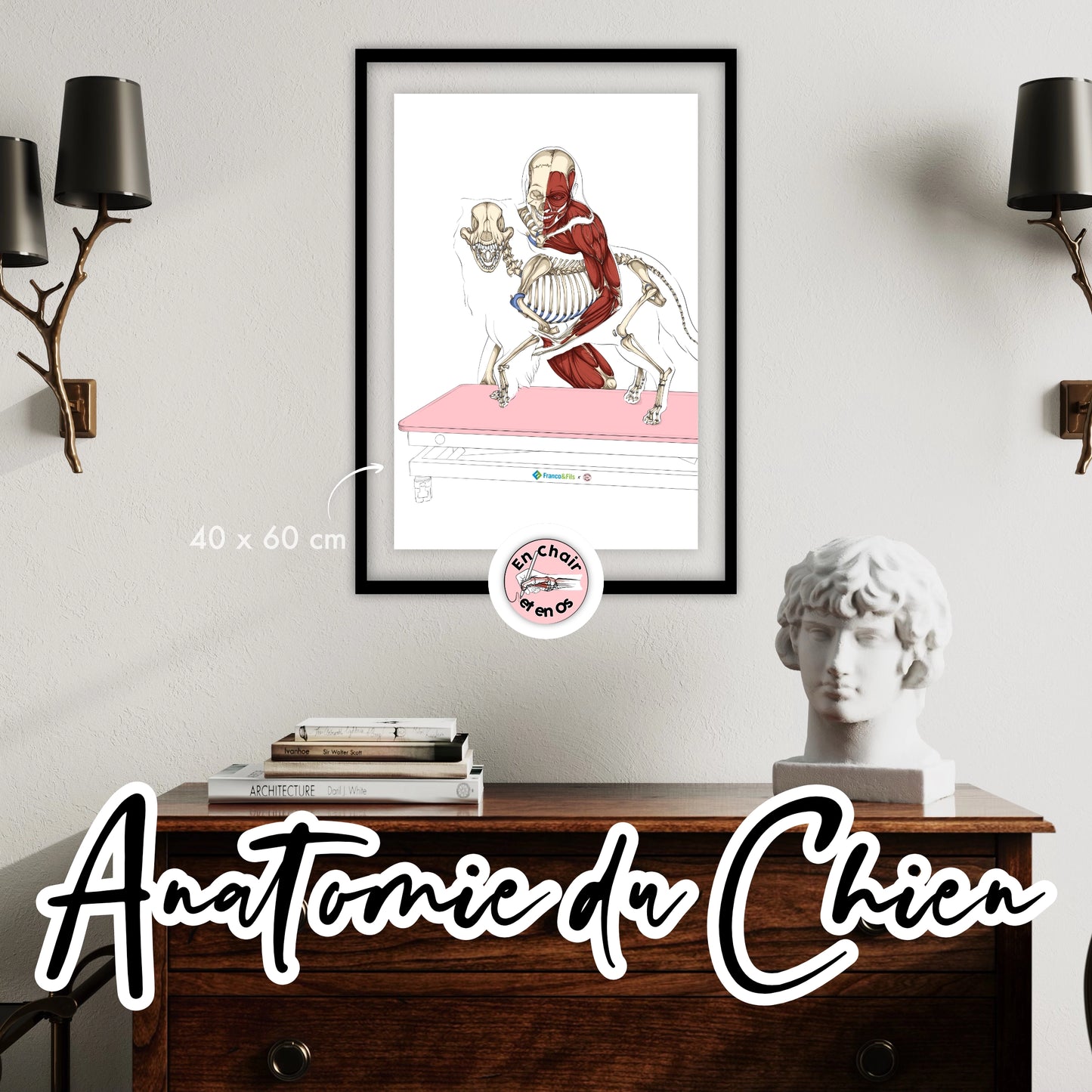 Vétérinaire - ostéopathe animalier -masseur canin - écorché du soin manuel du chien