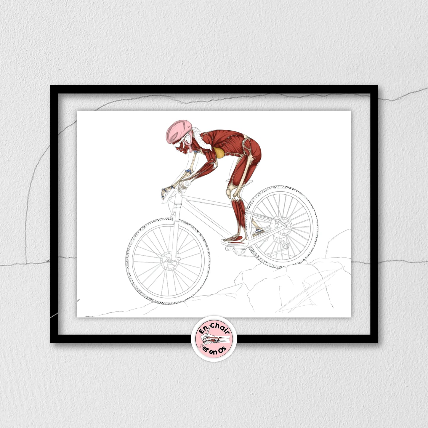 poster anatomique vélo vtt en chair et en os