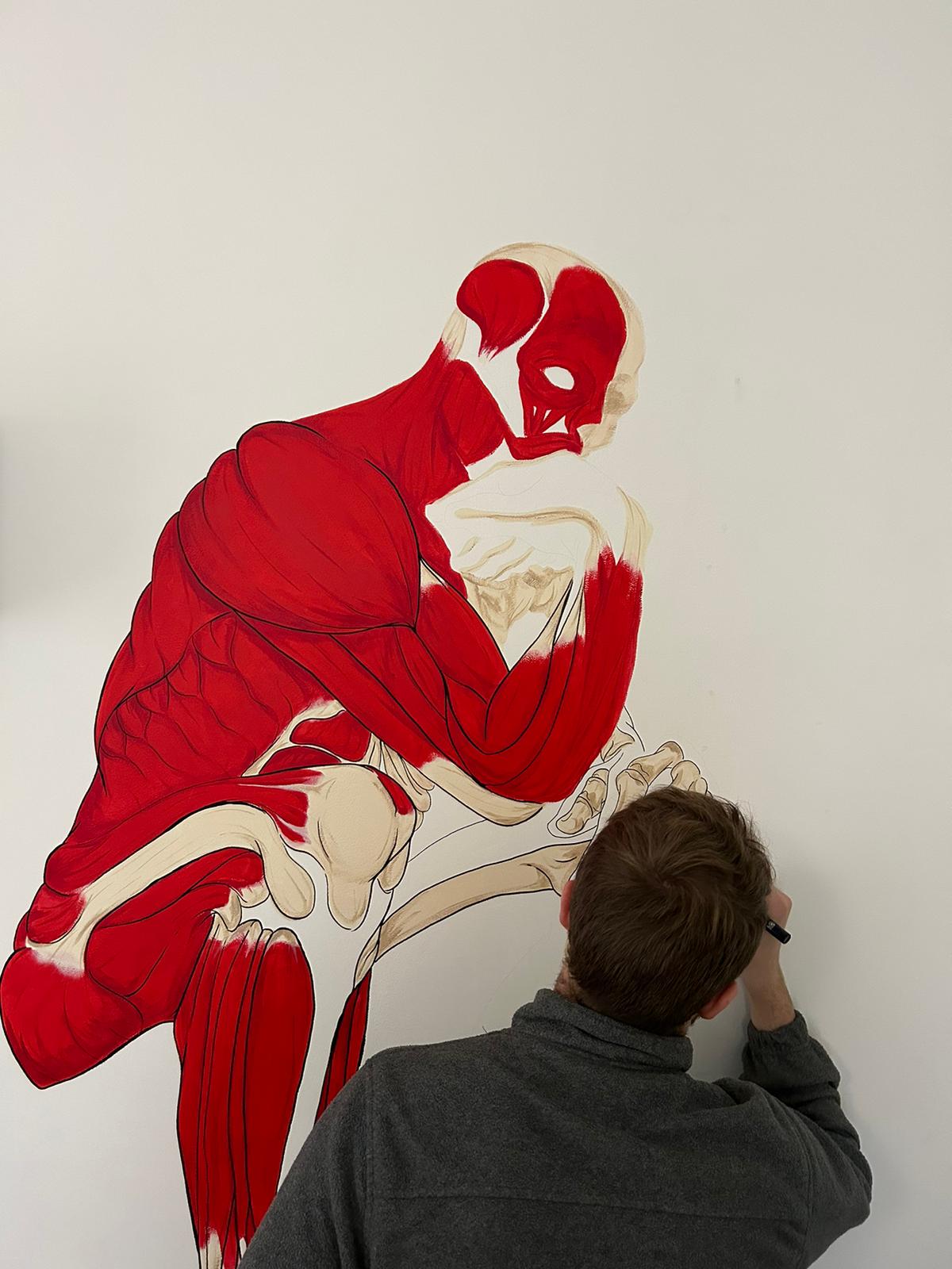 Fresque murale anatomique