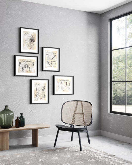 poster anatomie des muscles