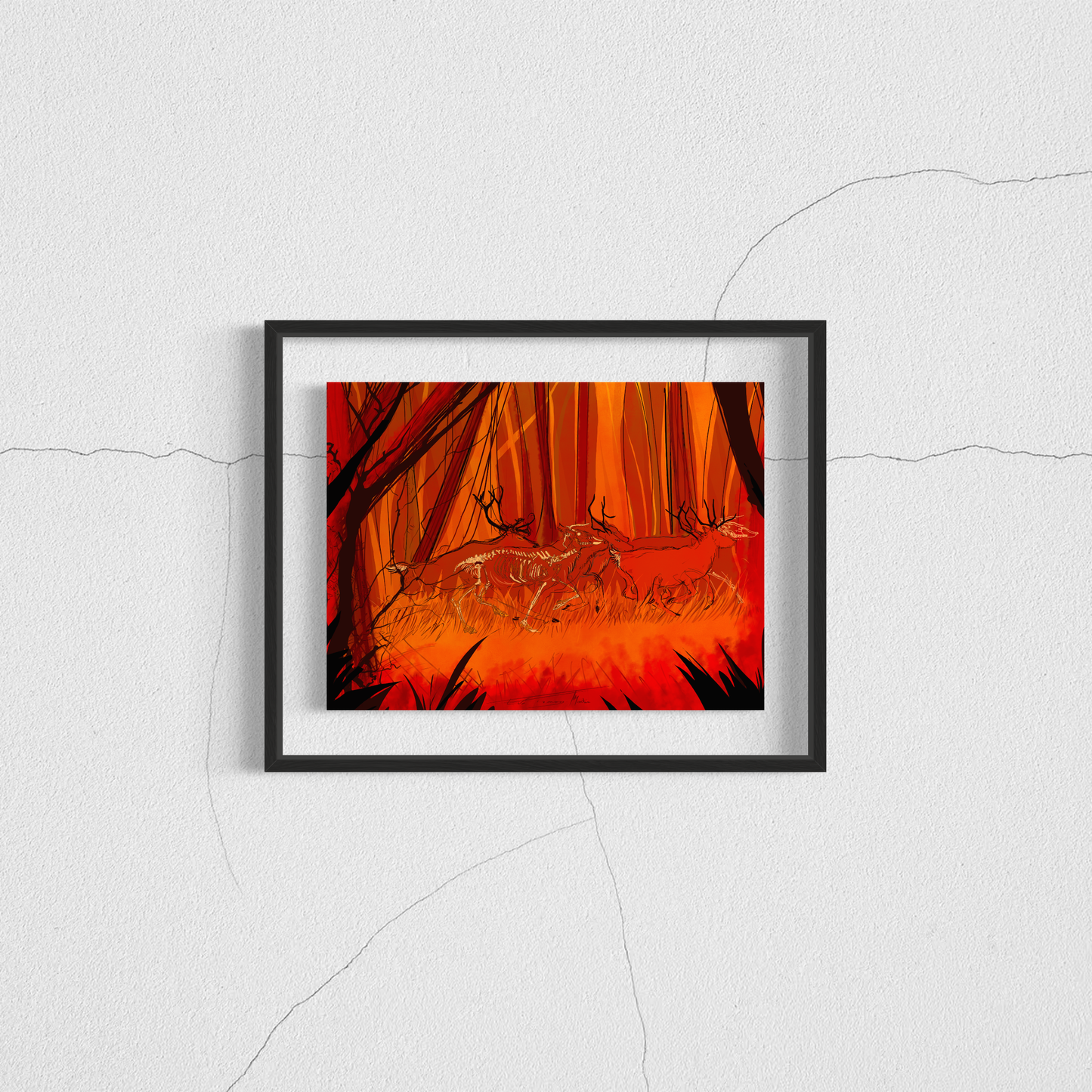 planche anatomique cerf